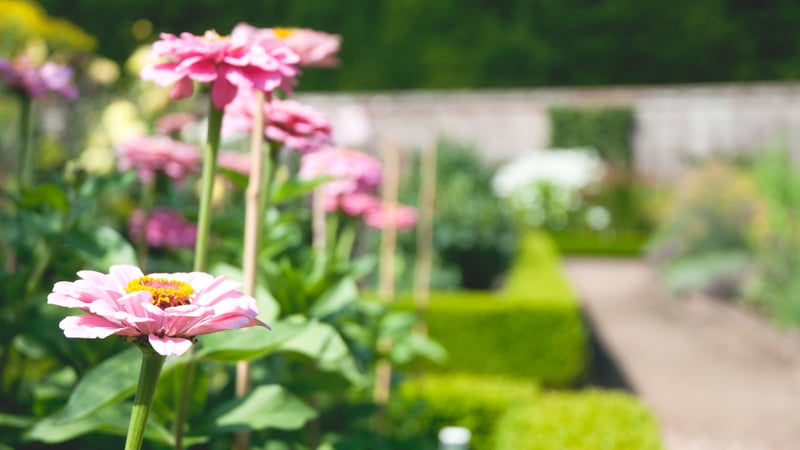 Garden Styles at West Dean Gardens 