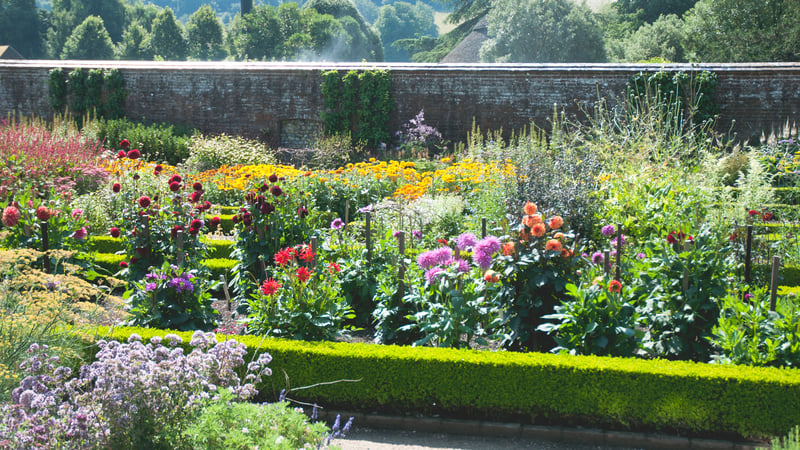 Walled gardens in Summer at West Dean