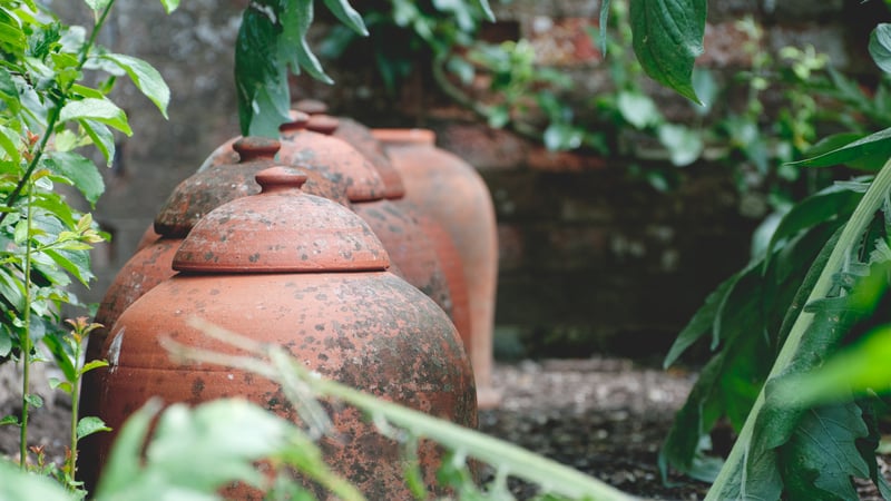 Pots in the Walled Kitchen Garden at West Dean Gardens