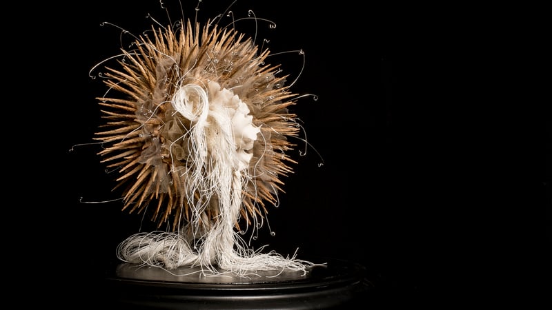 Jane Corbett Sea Urchin