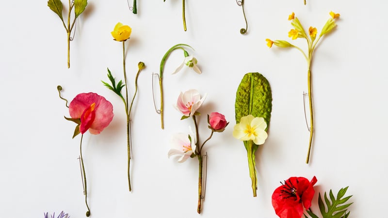 Millinery silk flowers – making spring flowers with Anne Tomlin, 21 to 24 March 2022