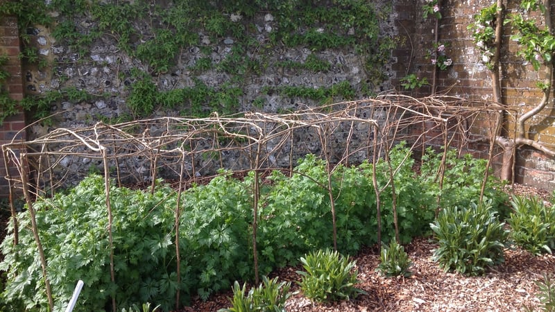 Hazel structures in West Dean Gardens