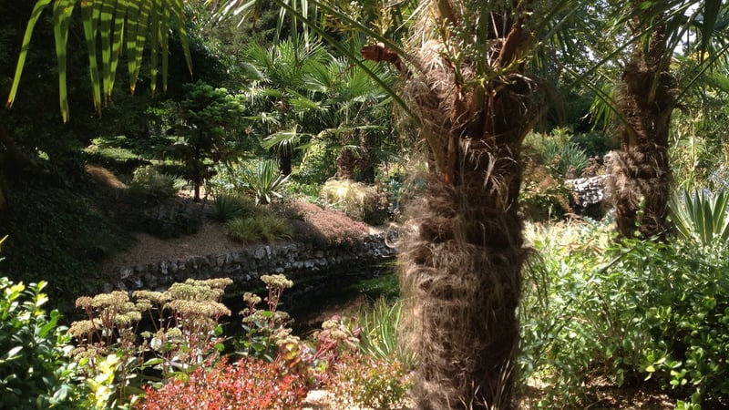 River Lavant in the West Dean Spring Garden
