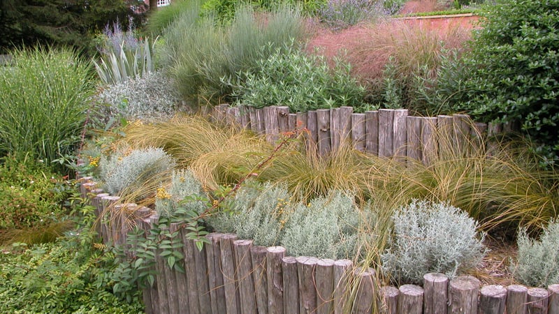 Designing gardens for Climate Adaption