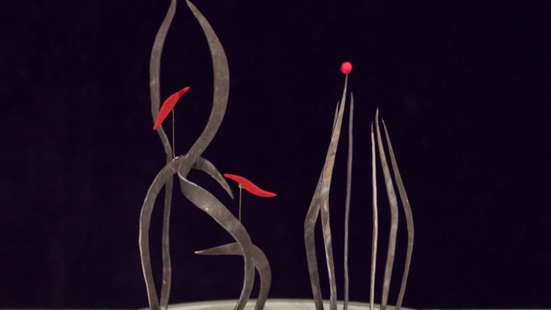 La Bruleuse de Terre, 2017