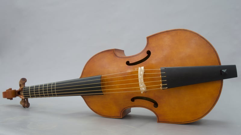 1st Year Tenor Gamba