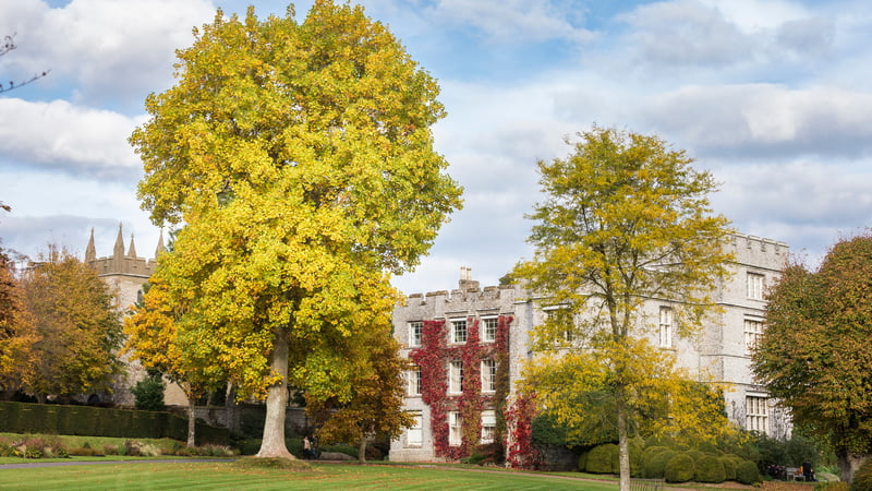 West Dean College of Arts and Conservation, West Sussex.