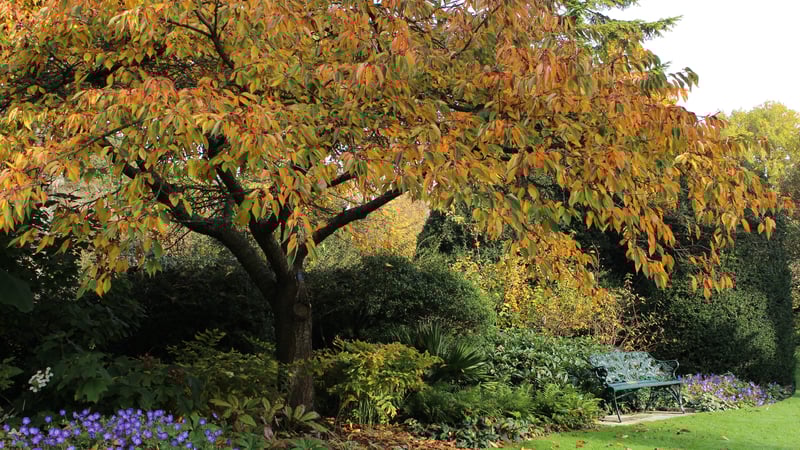 A peaceful place to sit at West Dean Gardens