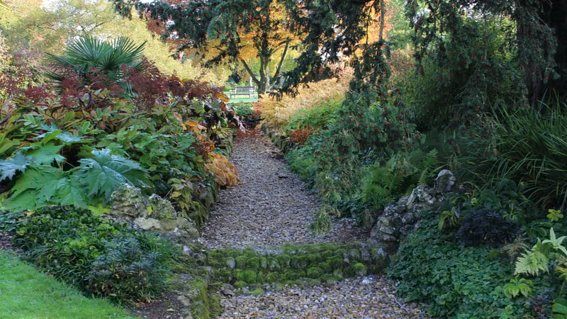 Dried up winterbourne at West Dean Gardens