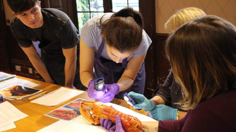 Conservation students complete a condition report on Lobster Telephone 1938, Salvador Dalí and Edward James.