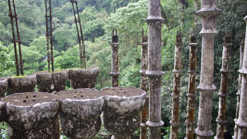 A view of large concrete pillars among trees in the Mexican jungle