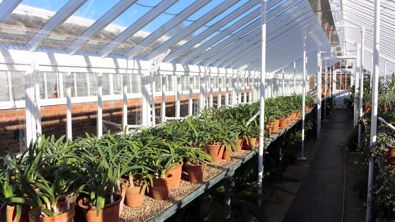 The Victorian Glasshouses in January