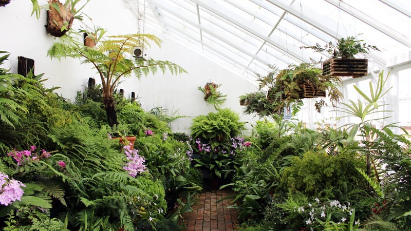 The Fern Glasshouse at West Dean Gardens