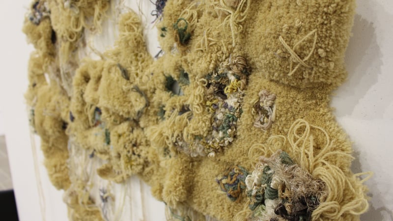 'It was all in my head', 2020 Amanda Seale