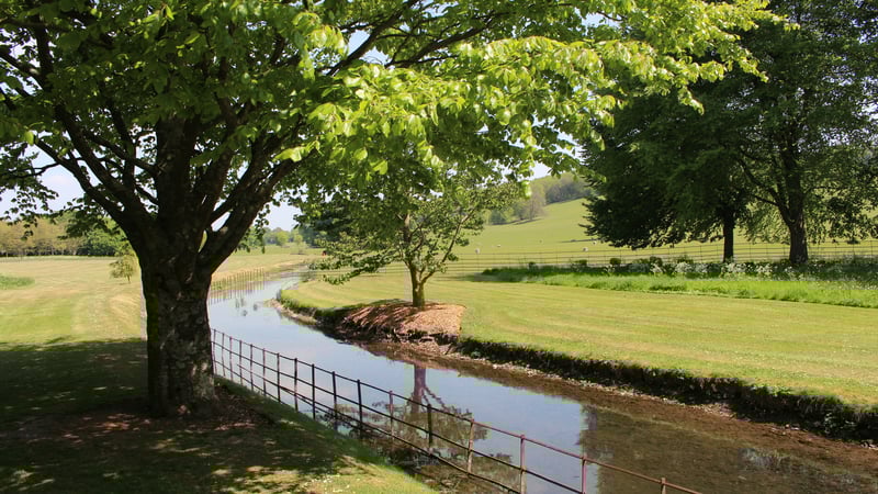 The River Lavant flows through the Spring Garden at West Dean Gardens