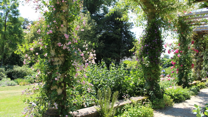 The Edwardian Pergola at West Dean Gardens