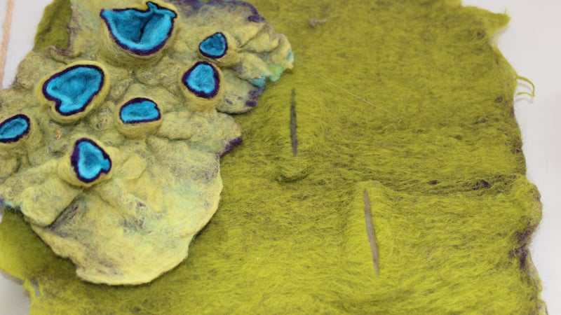 Fine felt making – nuno shawls and furoshiki: wrapping cloths with Liz Clay, 14 to 17 January 2022 