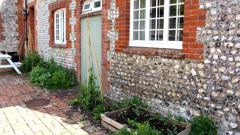 This year, with the support of Head Gardener Tom, students started growing their own veggies.