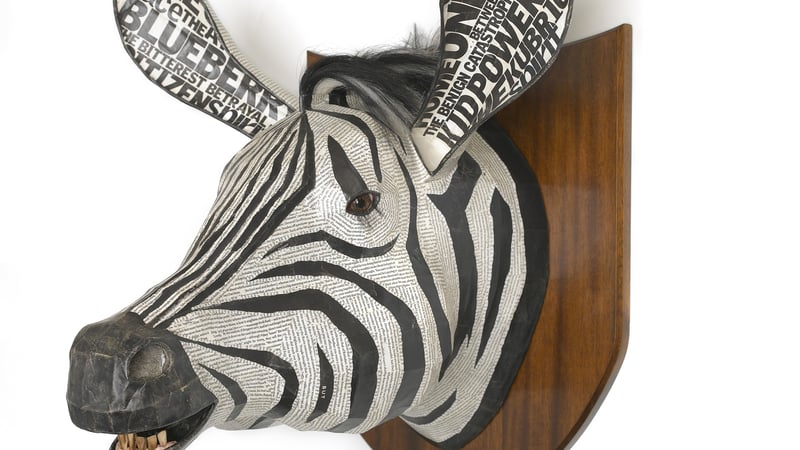 Zebra by David Farrer