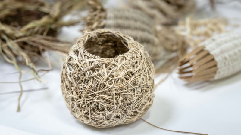 Nina O'Connor, Graduate Diploma Fine Art. © Christopher Ison