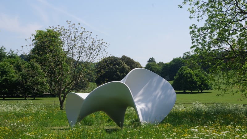 Conetwirl by Eilis O Connell