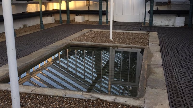 Cleaned glasshouse at West Dean Gardens