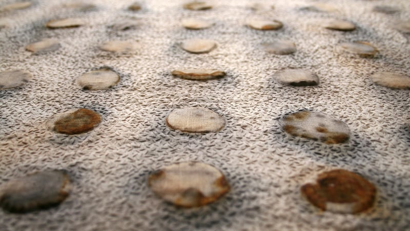  Mixed media art textiles – marks from the land with Alice Fox 