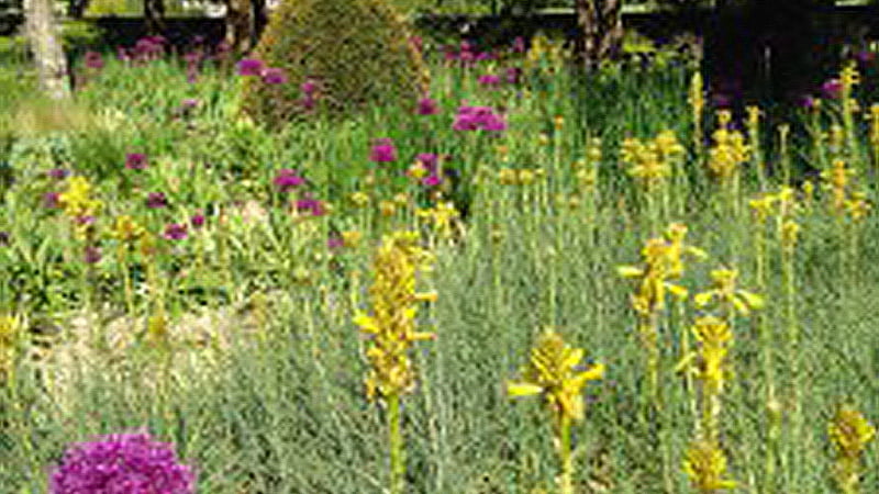 Spring Gardens at West Dean West Sussex