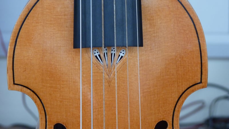 West Dean College Treble Viol by Edward Klose close up