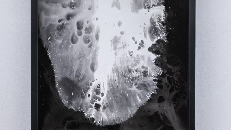 Gabriele Beveridge, Cosmetic Universals Choke, 2018