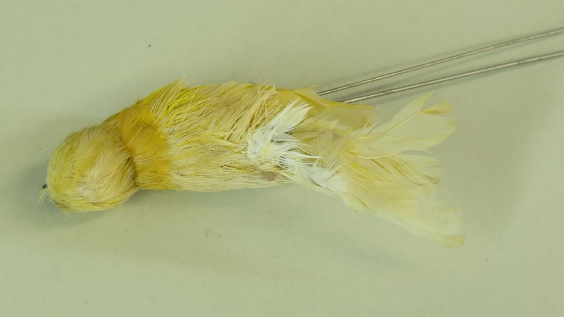 Topside feather replacements