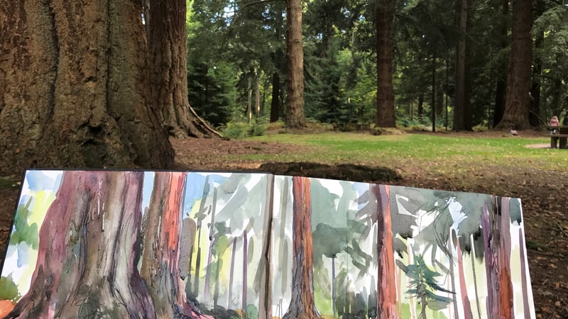 Beginners' watercolour – still life with Kim Whitby, 9 to 11 March 2022 