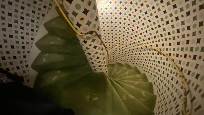 The iconic footprint carpet within the Historic House.