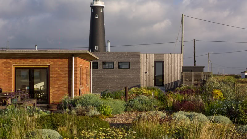 Emily Erlam Dungeness 2