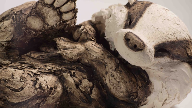 Felicity Lloyd-Coombes: Badger 