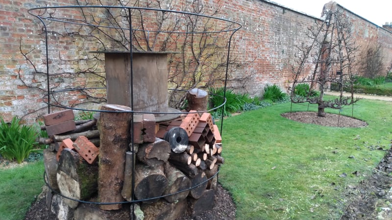 The Bug hotel being built. © Tom Brown