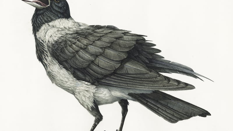 Art short courses work by tutor Andrew Fitchett