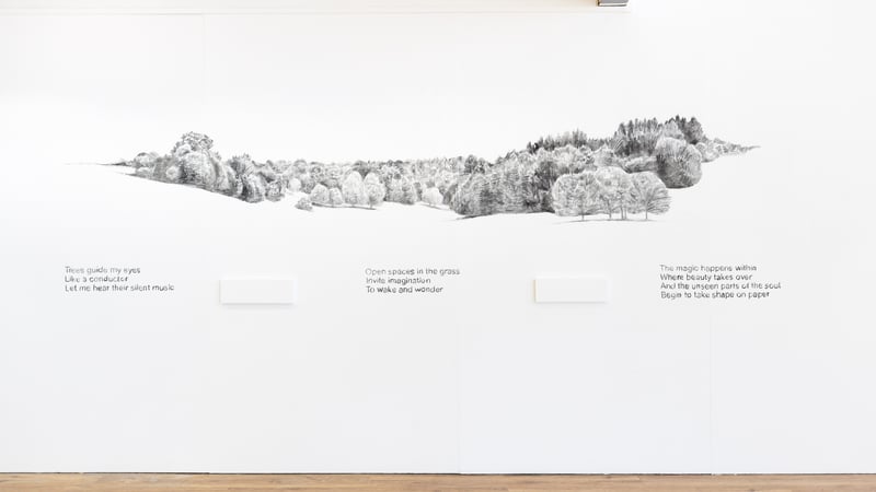 Emre Ozdincer_MFA Interim Show 2025©BJDeakin