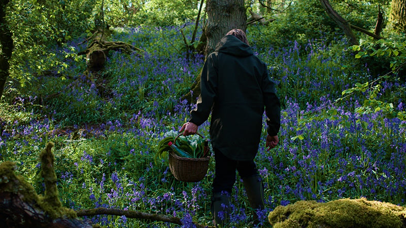Foraging_Walk_West_Dean_Event
