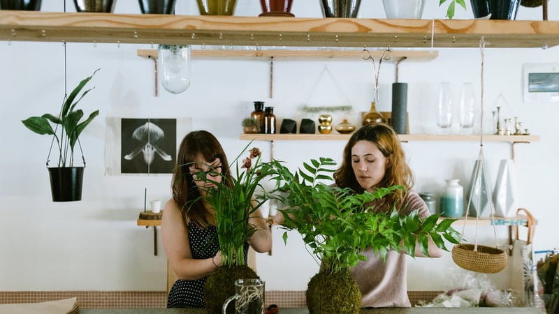 Terrarium, kokedama – house plant styling workshop with Jen Berry