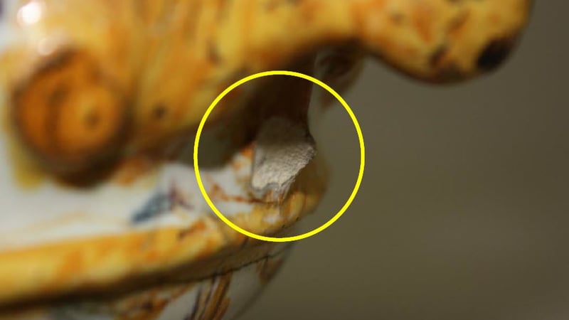 Figure 6: Missing tongue