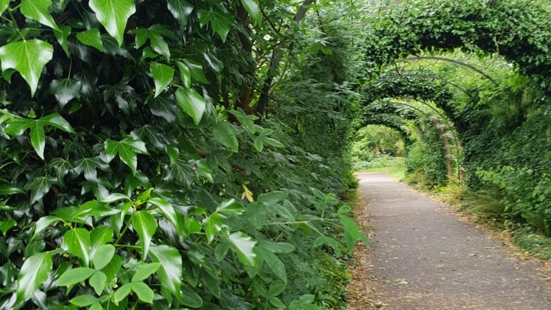 The archway through the Spring Garden