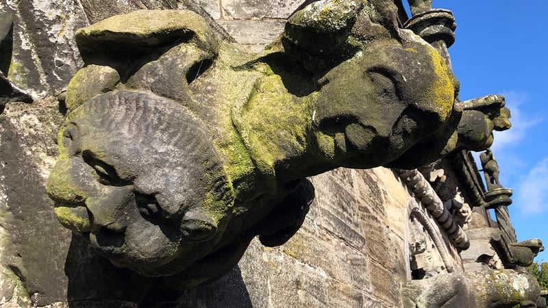 Graduate, Elena, at work