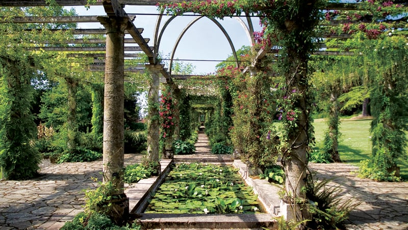 The Edwardian Pergola at West Dean Gardens nr Chichester