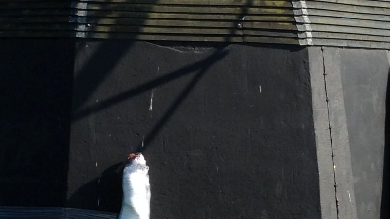 Isobel Smith Windmill 2