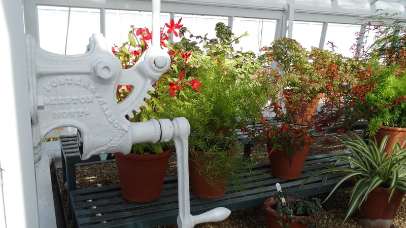 Victorian design, glasshouses at West Dean