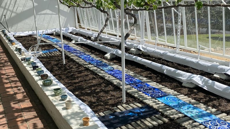 Inside Pharma - Helen Clifford-Jones