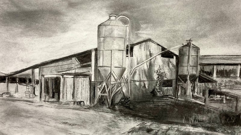 ‘Farm’ by Philippa Clarke. Charcoal on enviro flat white paper. 42 cm x 52 cm