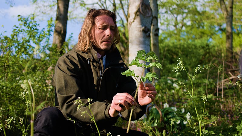 Foraging_Walk_West_Dean_Event