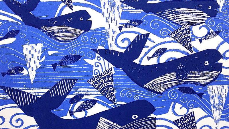 Rachel Sim Illustrations 